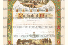 Aicardi-diploma-inglese9006