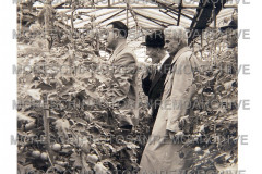 Prof-Giacomo-Nicolini e due visitatori  nella serra di Villa Minerva fotografati da Aicardi