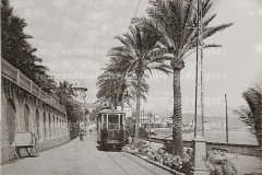 Tram-allimperatrice